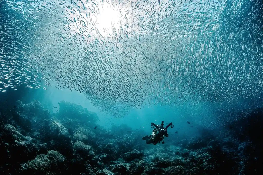 Luxury Raja Ampat 2027 Availability Calendar — Check Open Dates