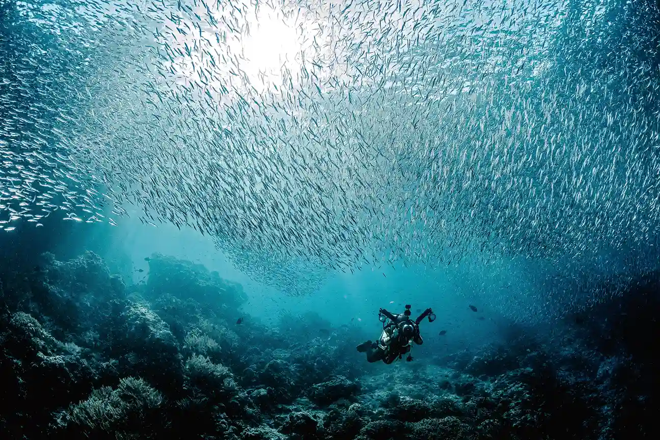 Raja Ampat Diving