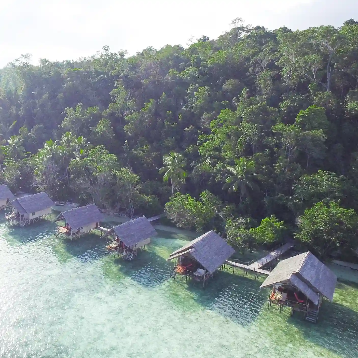 Surrounding Reefs