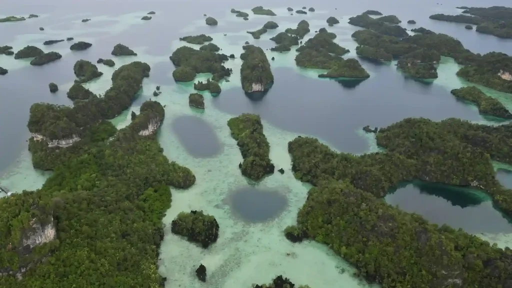 Raja Ampat Liveaboard Tips – First-Timer’s Guide