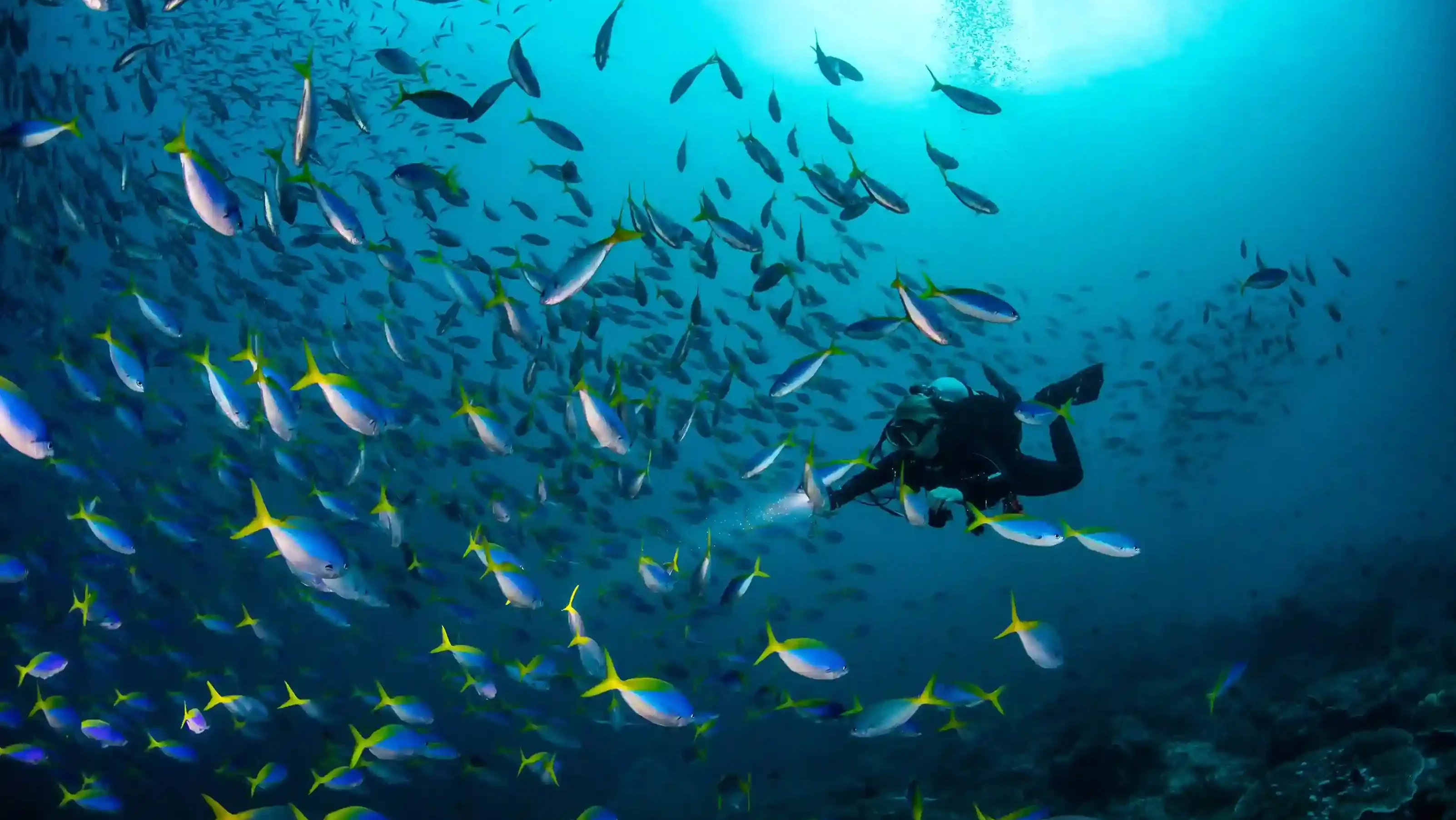 Banda Sea crossing